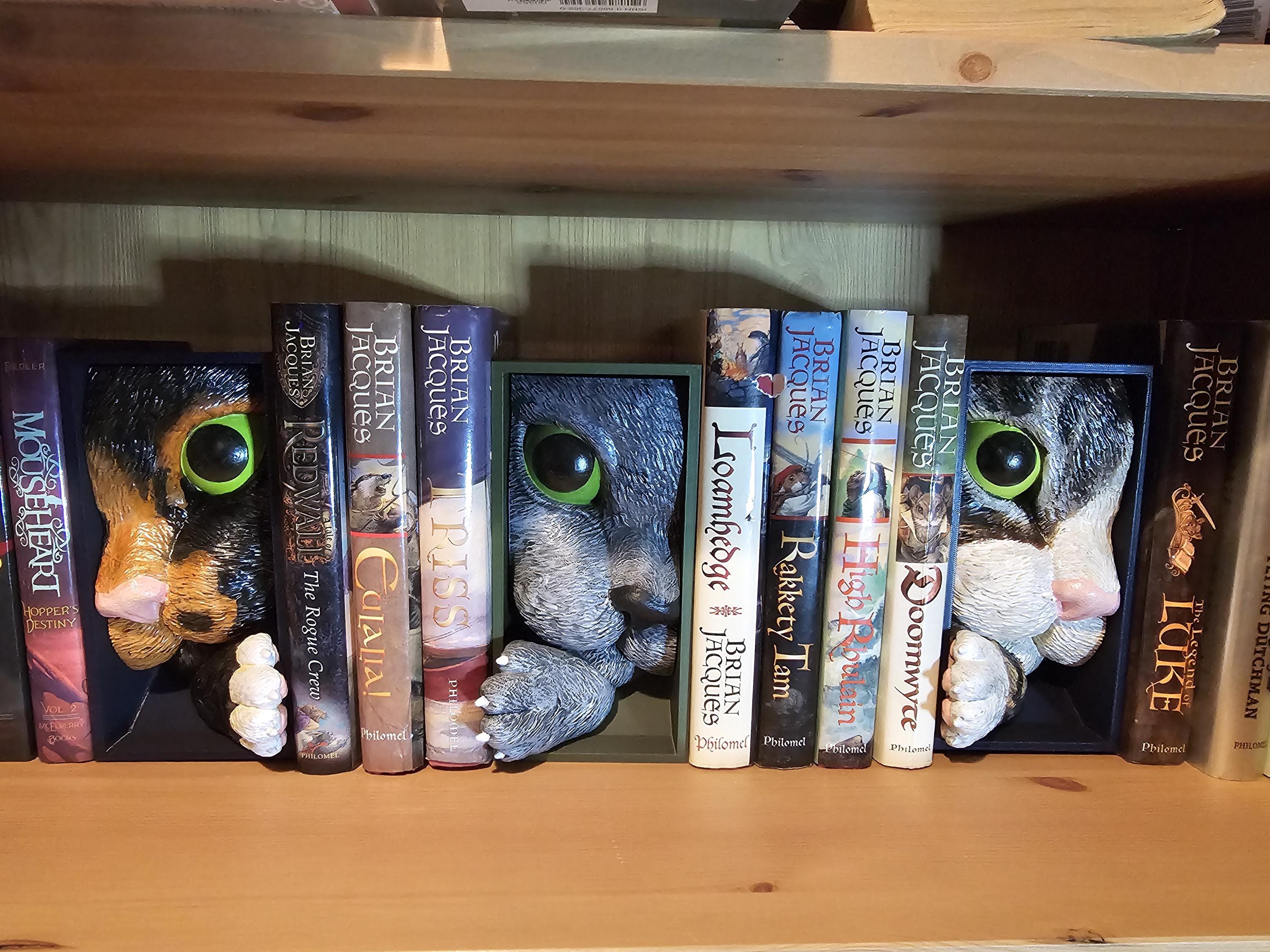 Cat’s Curiosity Book Nook