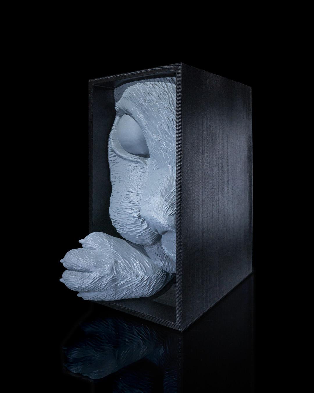 Cat’s Curiosity Book Nook