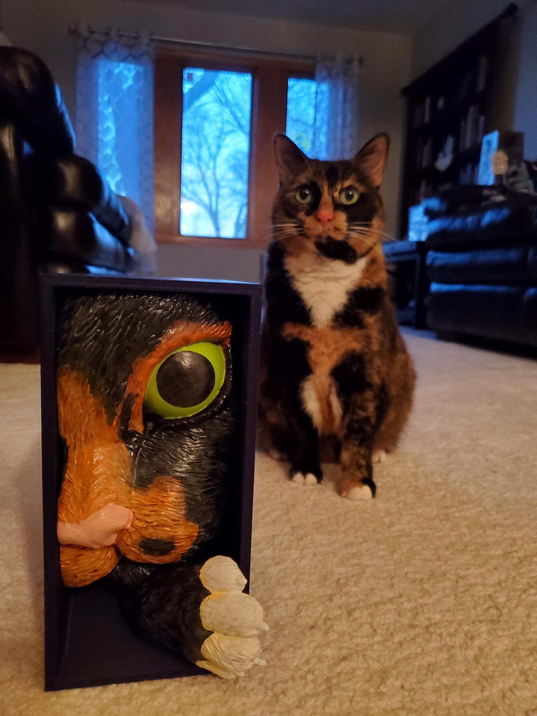 Cat’s Curiosity Book Nook