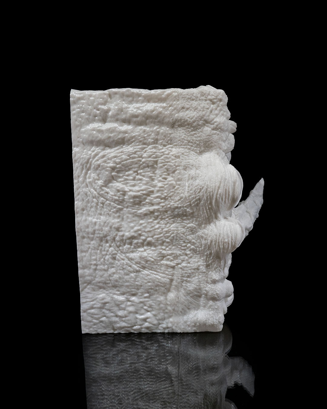 Binded Mimic Book Nook