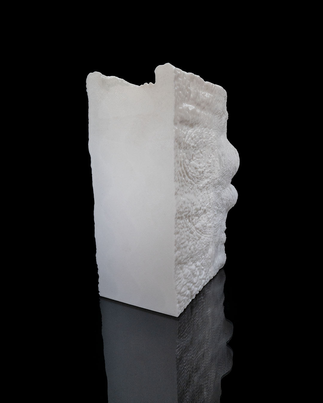 Binded Mimic Book Nook