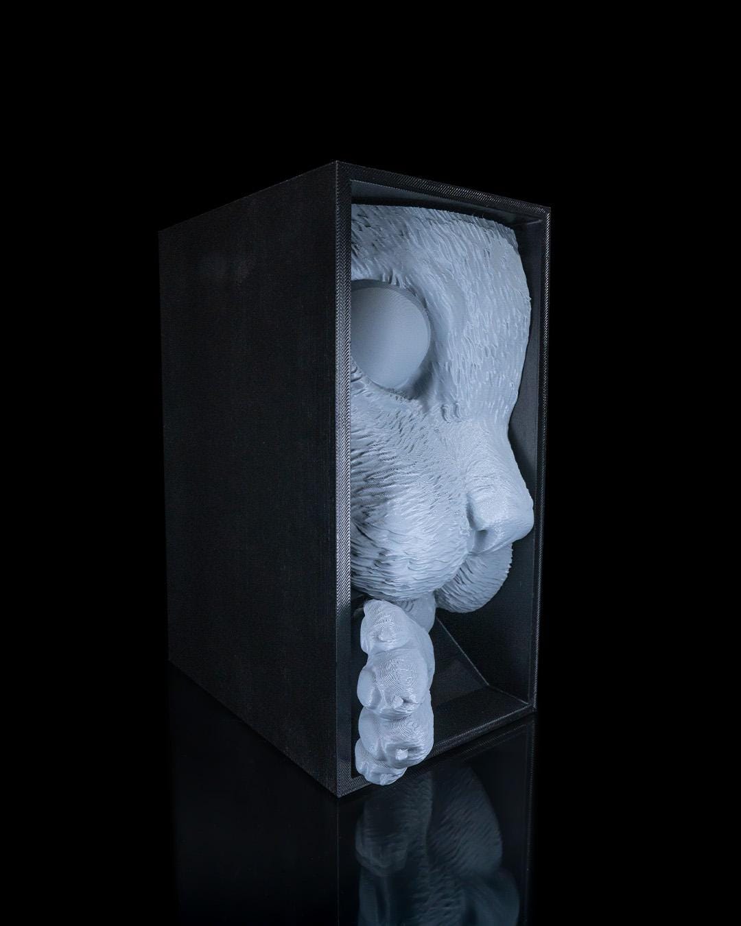 Cat’s Curiosity Book Nook