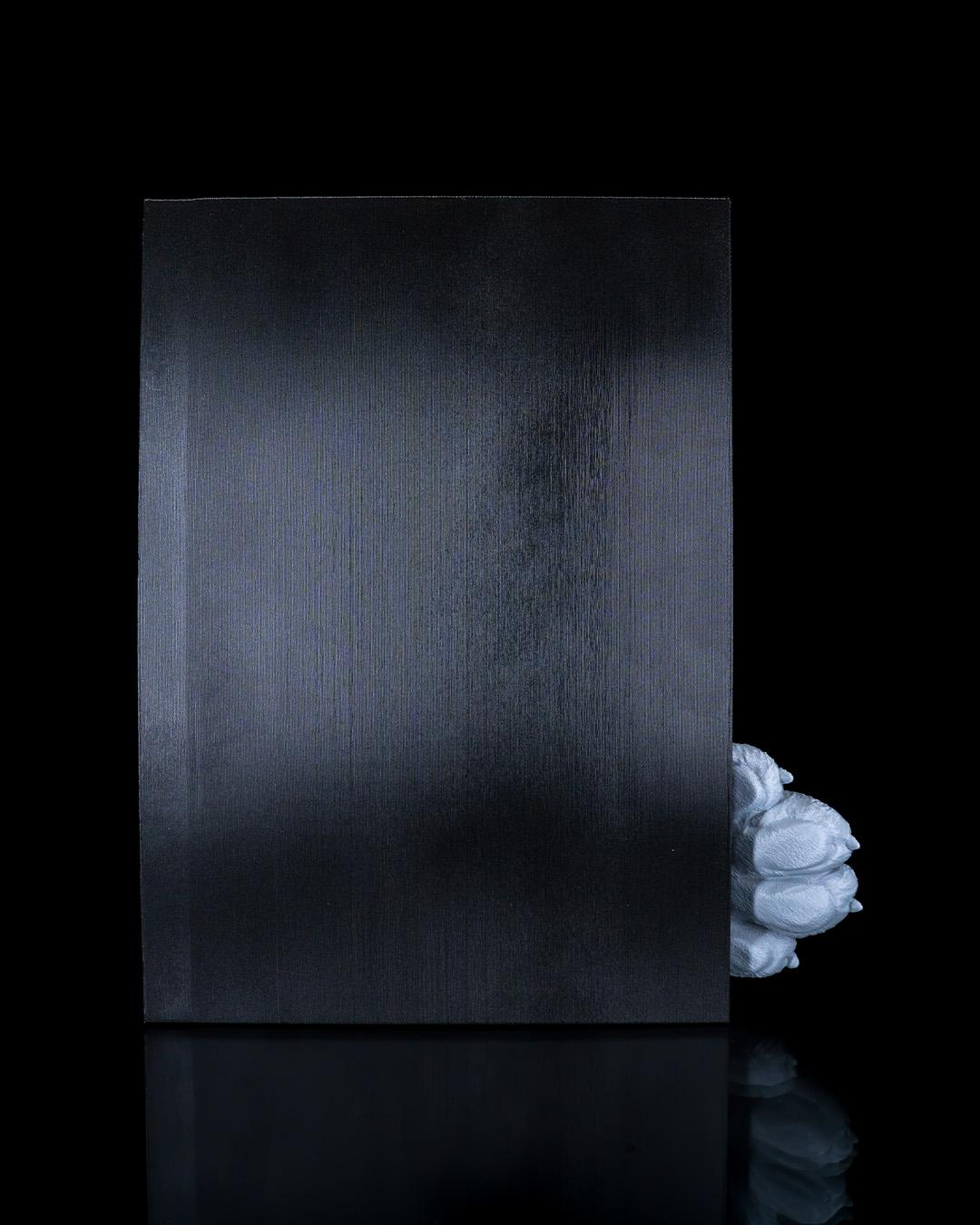 Cat’s Curiosity Book Nook